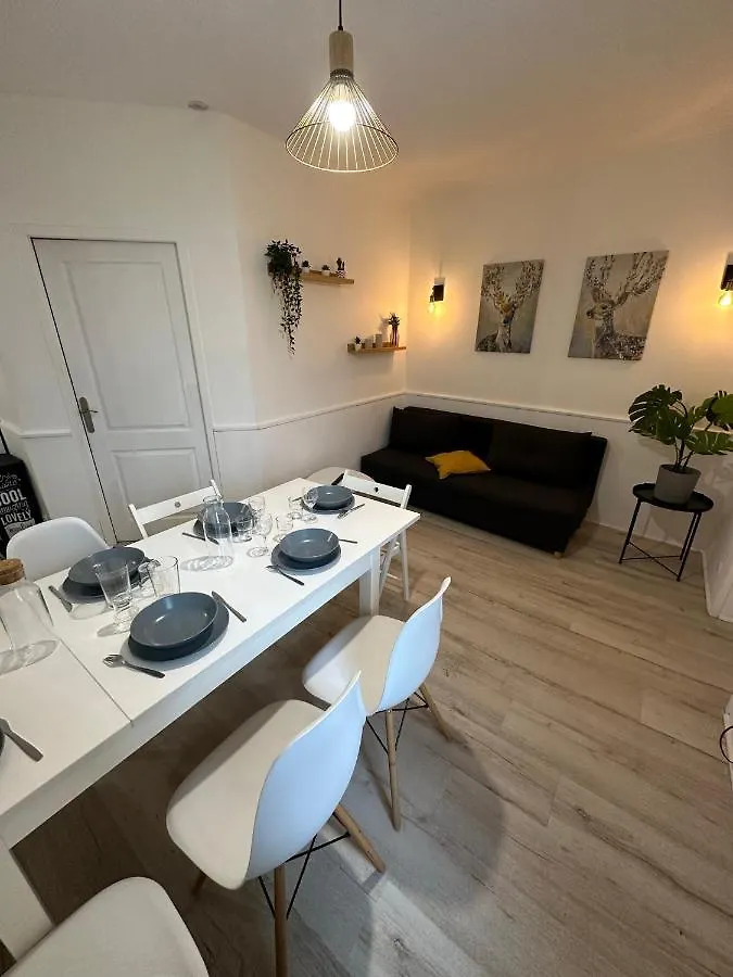 Appartement Spacieux - Proche Centre Et Therme Bagneres-de-Bigorre Apartment